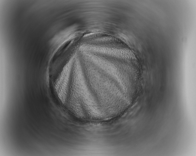 X0000094780194200711301553