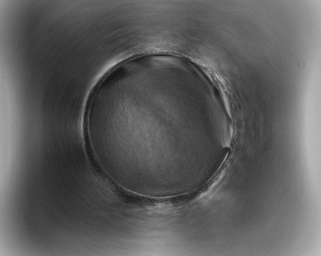 X0000094780196200711301553