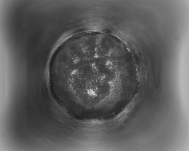 X0000094780198200711301553