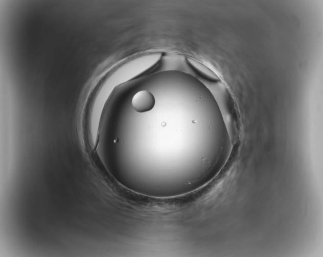 X0000094780199200711301553