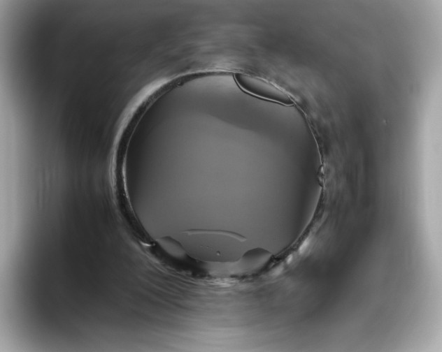 X0000094780200200711301553