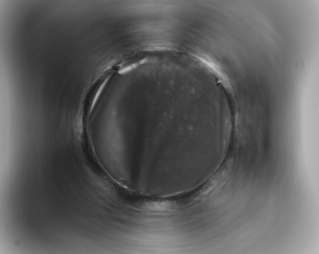 X0000094780202200711301553