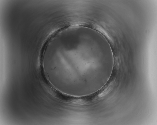 X0000094780203200711301553