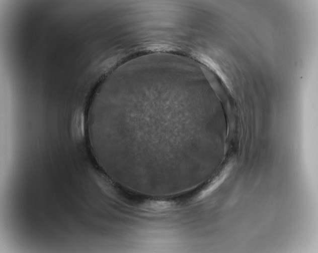 X0000094780205200711301553