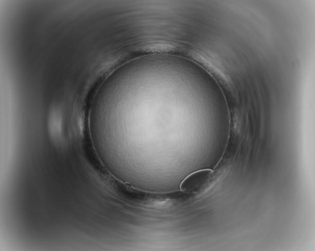 X0000094780206200711301553