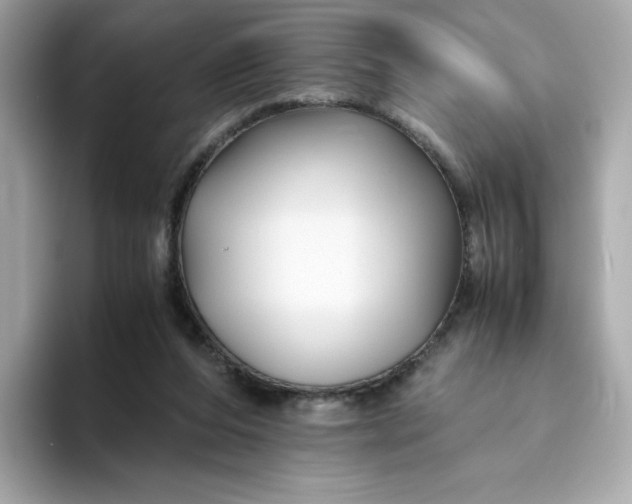 X0000094780208200711301553