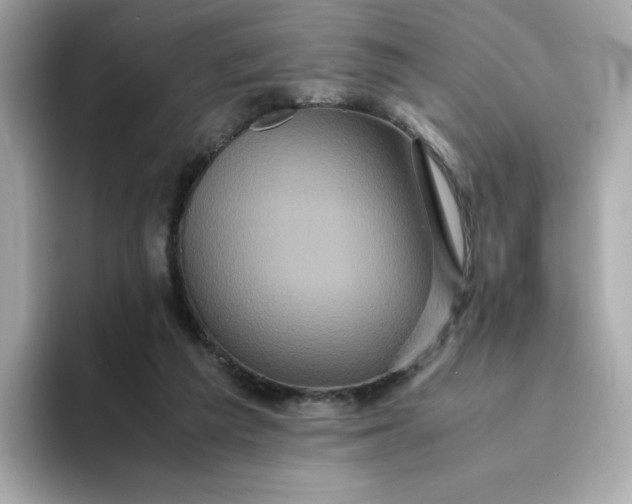 X0000094780209200711301553