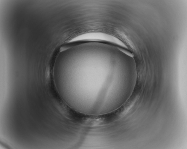 X0000094780213200711301553