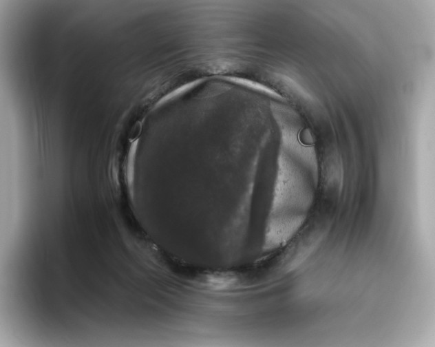 X0000094780214200711301553