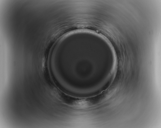 X0000094780219200711301553