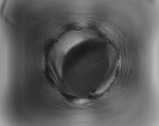 X0000094780223200711301552