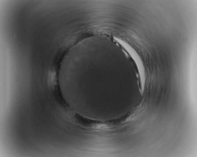 X0000094780224200711301552