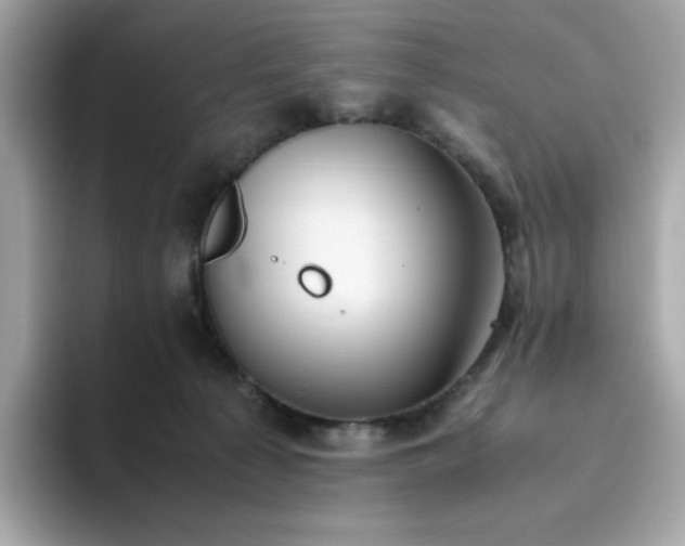 X0000094780225200711301552