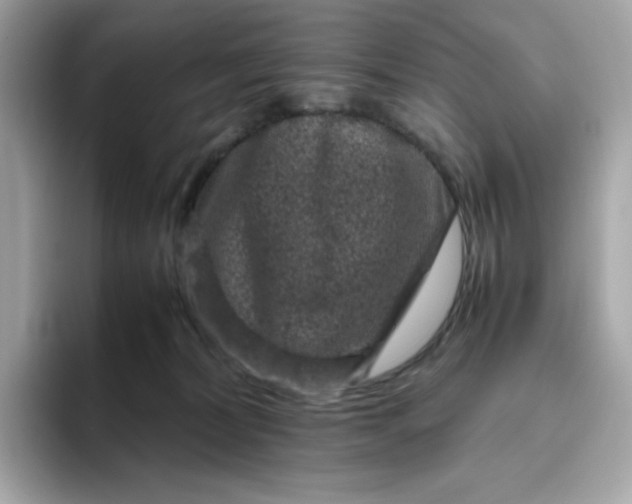 X0000094780228200711301552