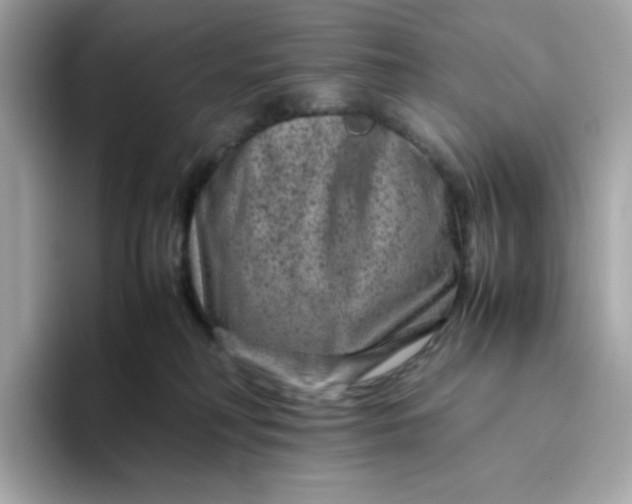 X0000094780230200711301552