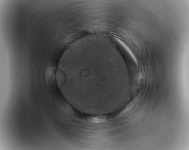 X0000094780232200711301552