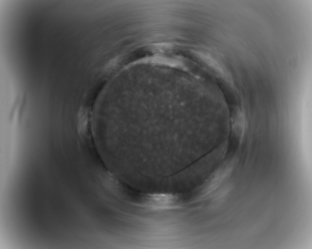 X0000094780233200711301552