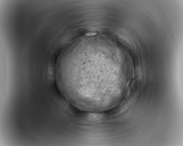 X0000094780234200711301552