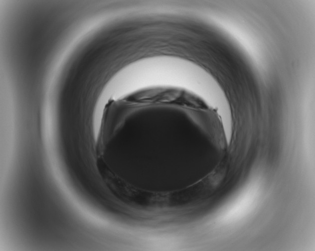 X0000094780239200711301552