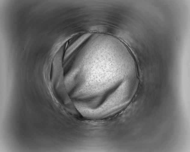 X0000094780241200711301552