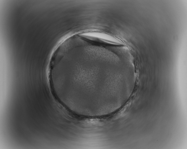 X0000094780244200711301552