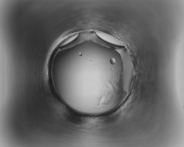 X0000094780246200711301552