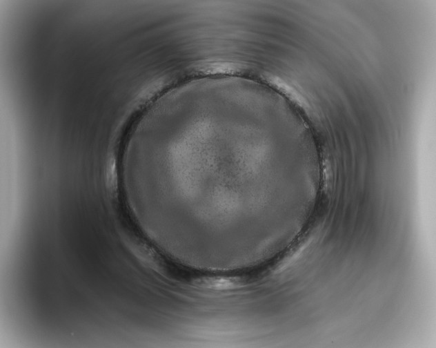 X0000094780254200711301552