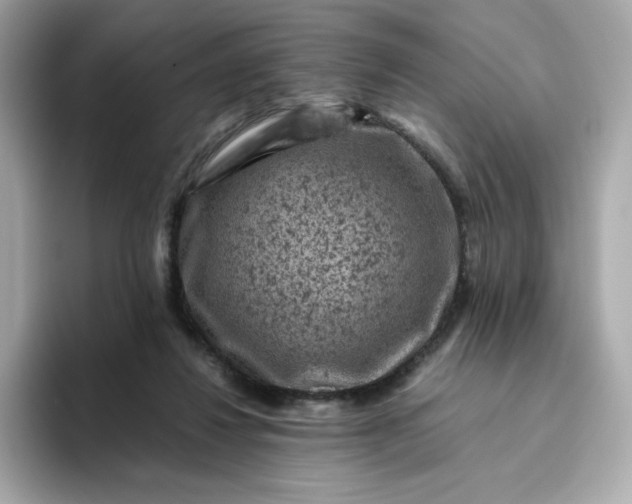 X0000094780260200711301552