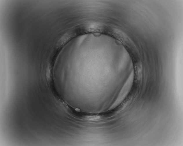 X0000094780266200711301552