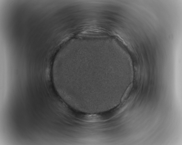 X0000094780269200711301552