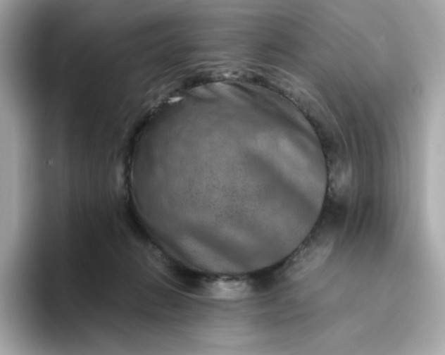 X0000094780270200711301552