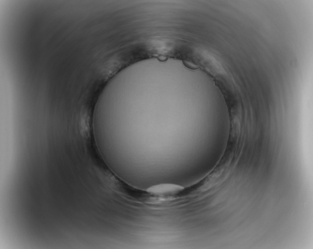 X0000094780274200711301552