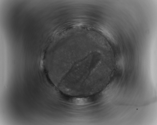 X0000094780277200711301552