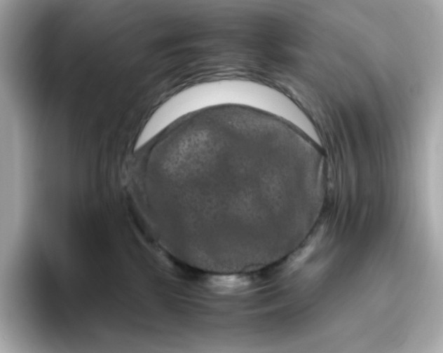 X0000094780281200711301552