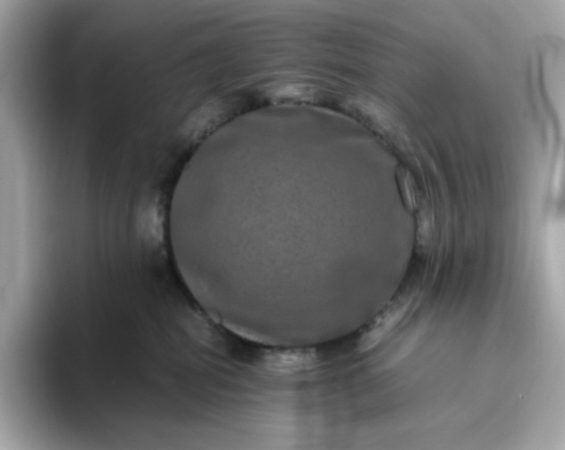 X0000094780282200711301552