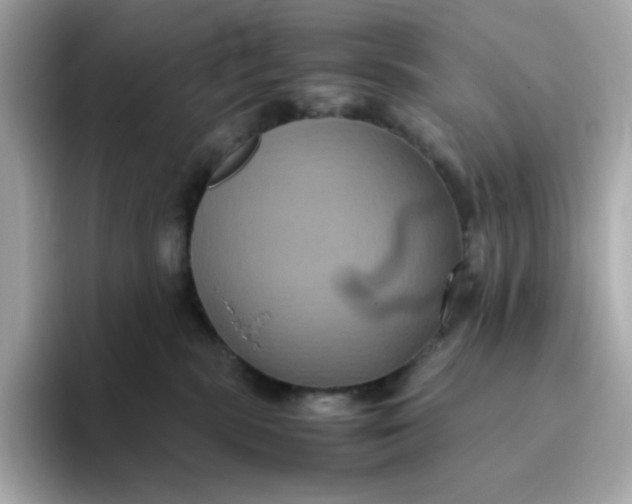 X0000094780283200711301552