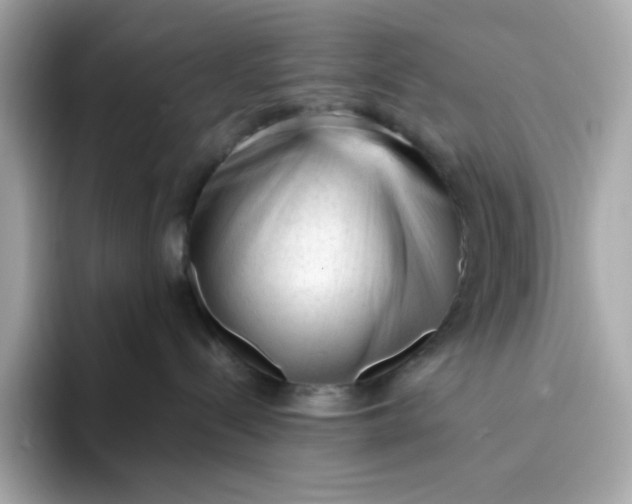 X0000094780288200711301552