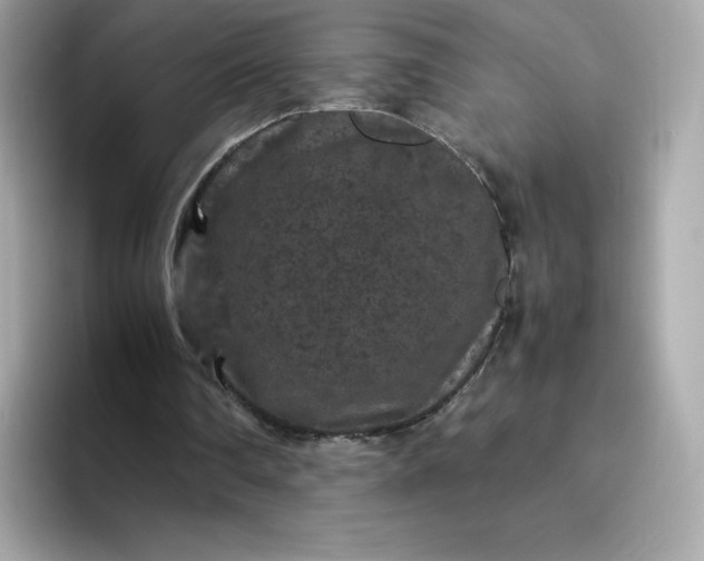 X0000094780290200711301552