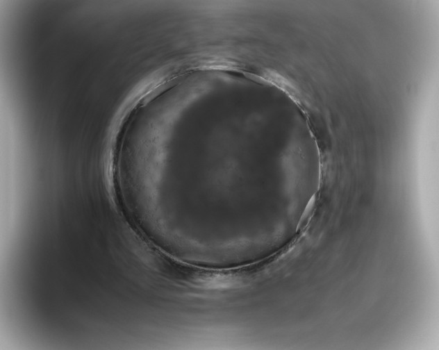 X0000094780293200711301552