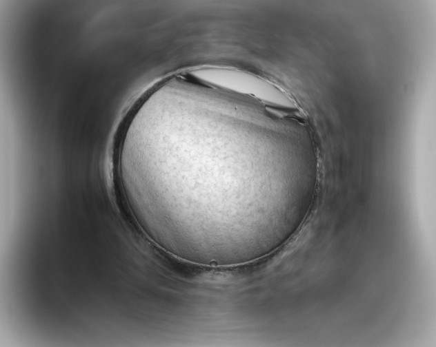 X0000094780294200711301552