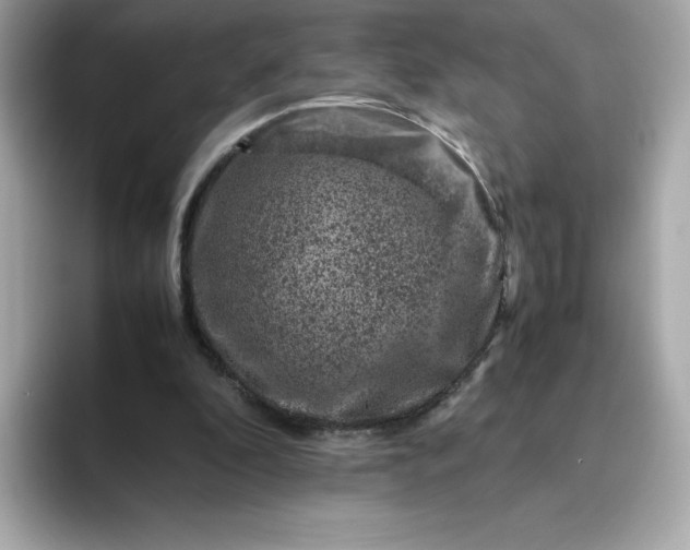 X0000094780296200711301551