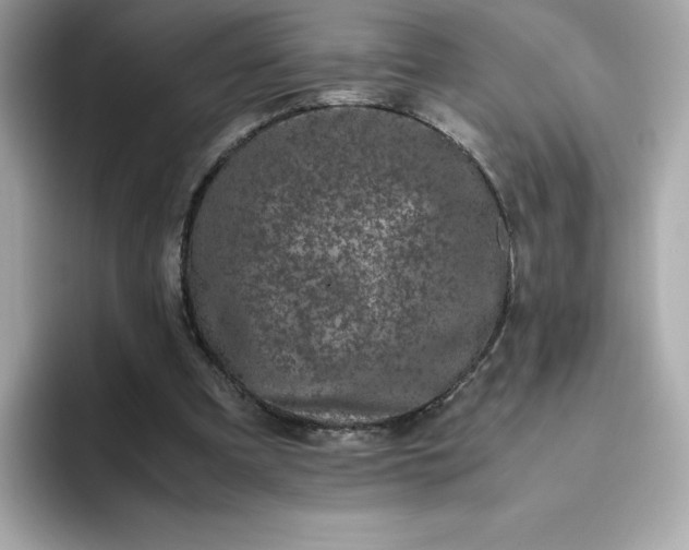 X0000094780297200711301551