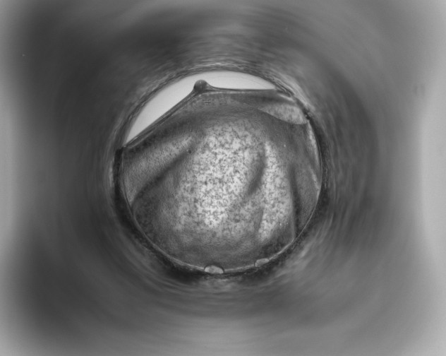 X0000094780299200711301551