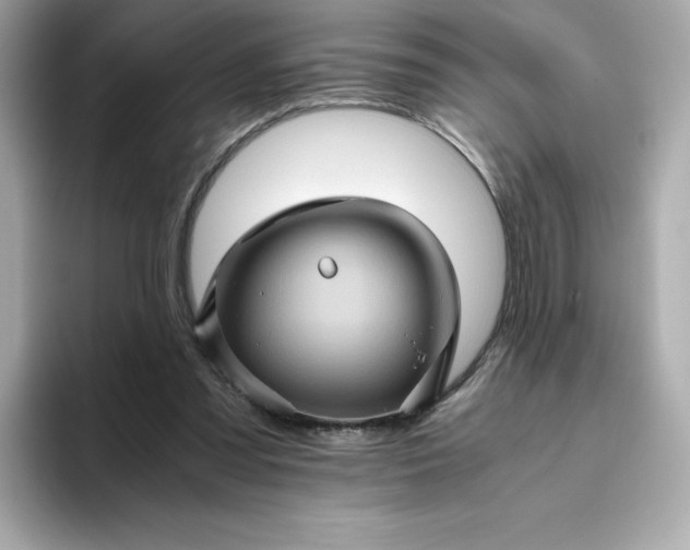 X0000094780301200711301551