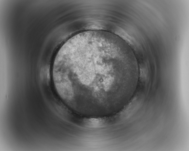 X0000094780302200711301551