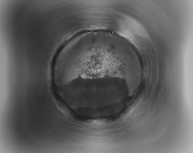 X0000094780303200711301551