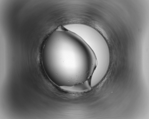 X0000094780305200711301551