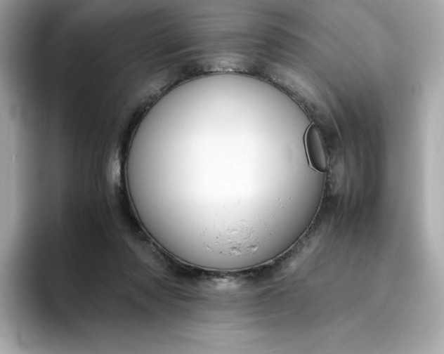 X0000094780310200711301551