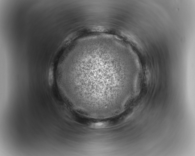 X0000094780312200711301551