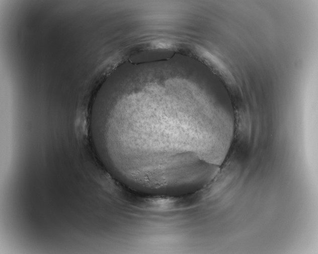 X0000094780313200711301551